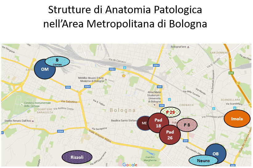 Dipartimento Inter-aziendale di Anatomia Patologica