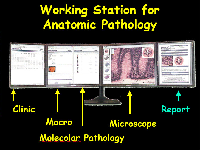 Pathology Collaborative Network